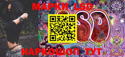 МДПВ Кингисепп