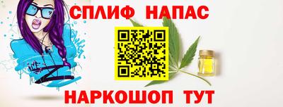 МДПВ Кингисепп